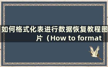 如何格式化表进行数据恢复教程图片（How to format a table for data recovery 教程）